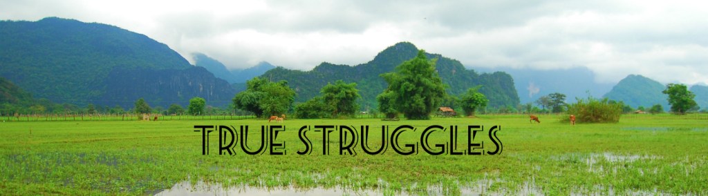 True Struggles of Missional&nbsp;Workers