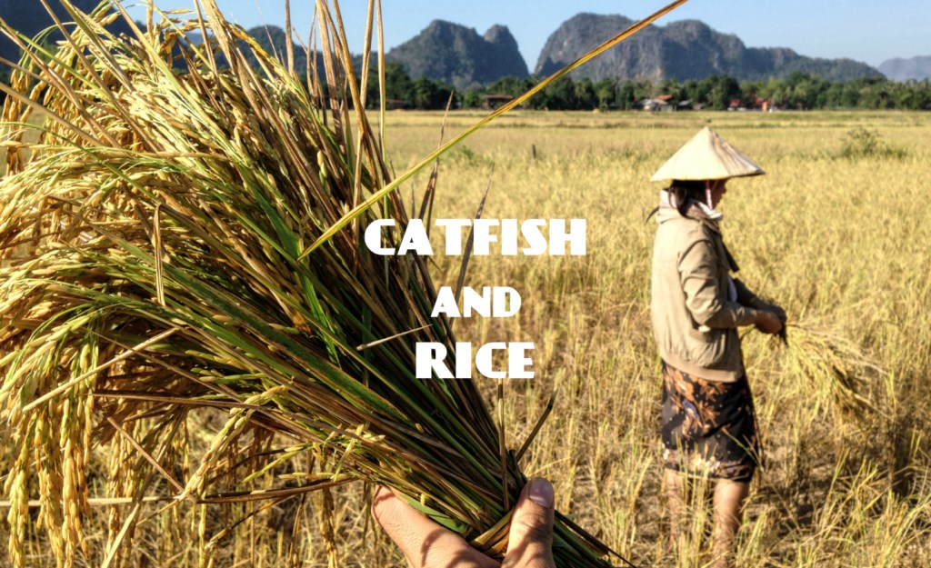 Catfish & Rice: Finishing the Task by Reproducing Disciples